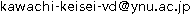 E-mail address